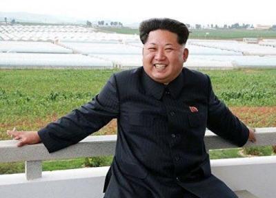 منابع کره شمالی :کیم جونگ زنده است